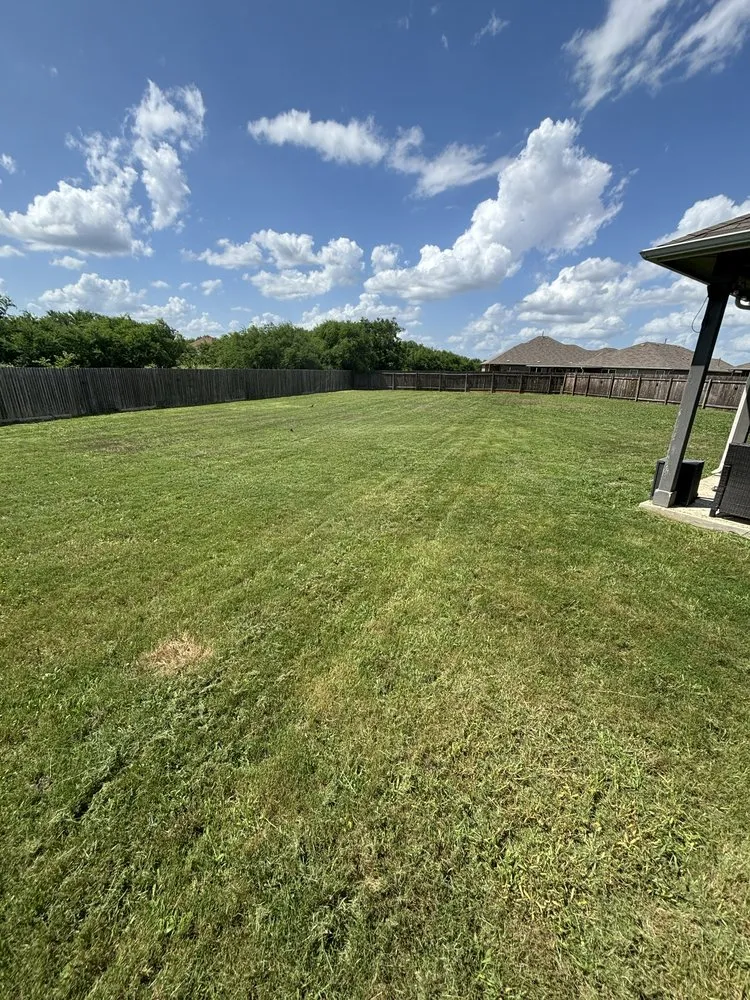 Reliable yard cleanup service in New Braunfels, TX - Allstar Landscaping And Fence