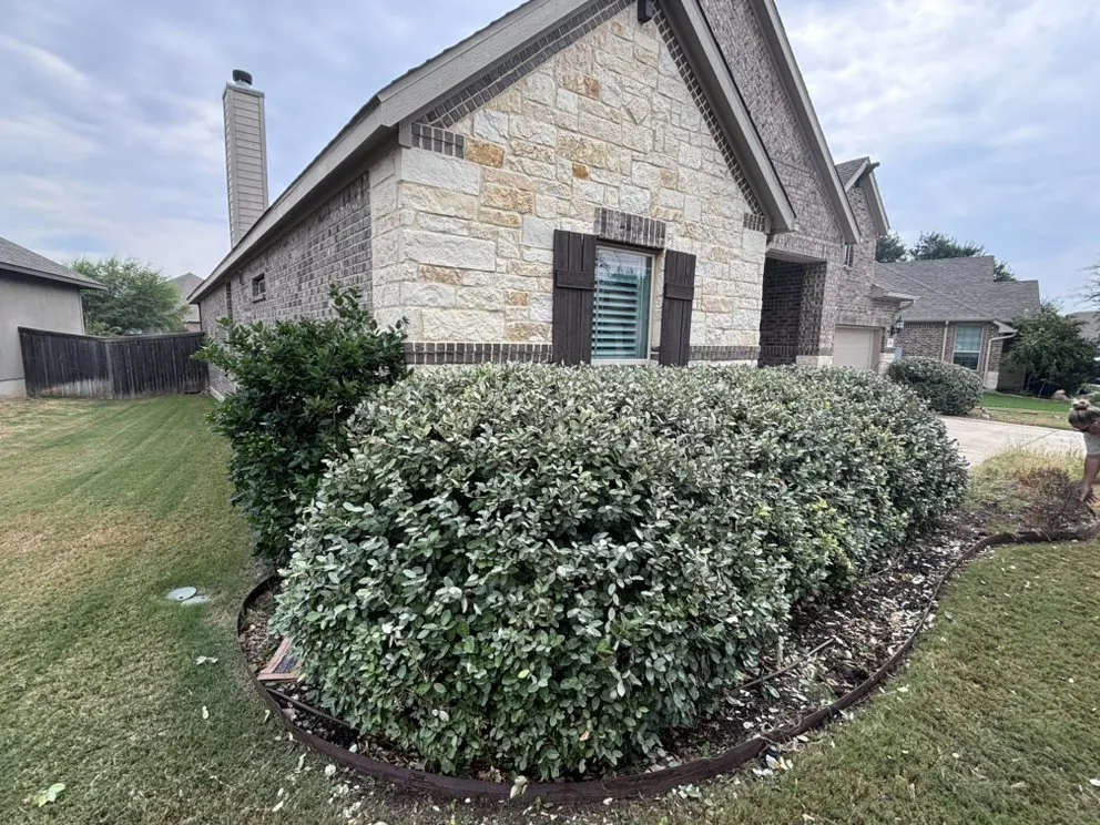 Professional landscape installation in New Braunfels, TX by Allstar Landscaping And Fence