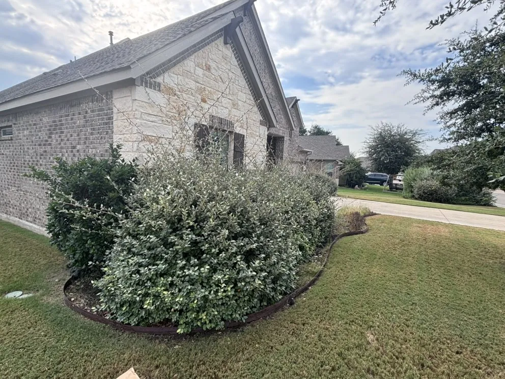 Custom yard maintenance in New Braunfels, TX by Allstar Landscaping And Fence