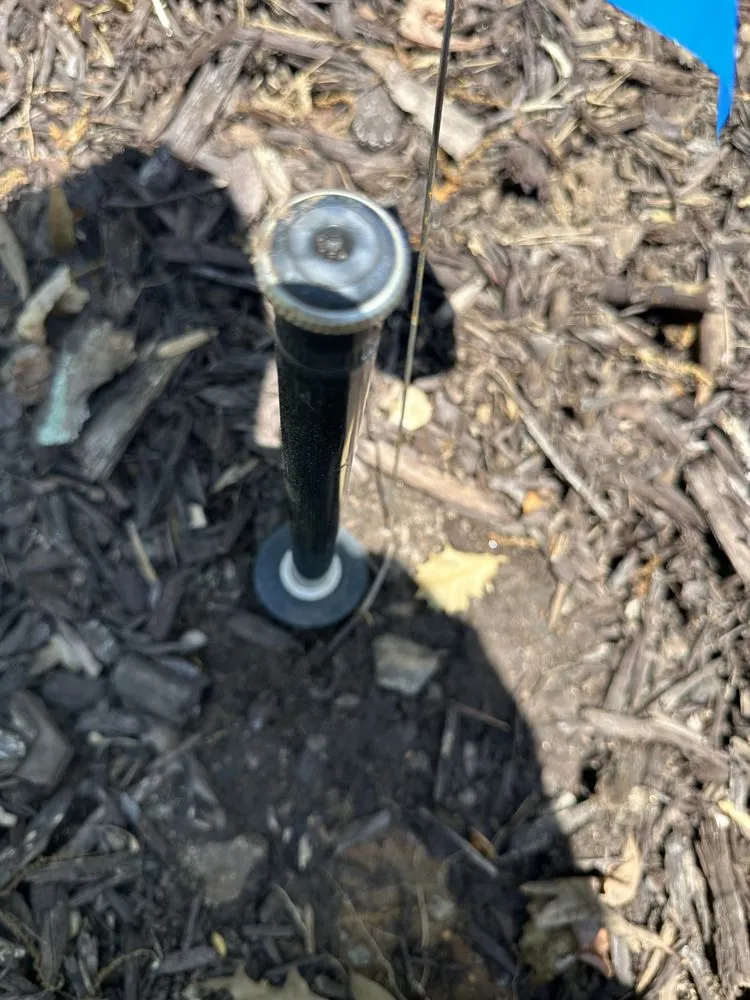 Trusted lawn care service in Seneca, SC - Allstar Lawn and Landscape Service