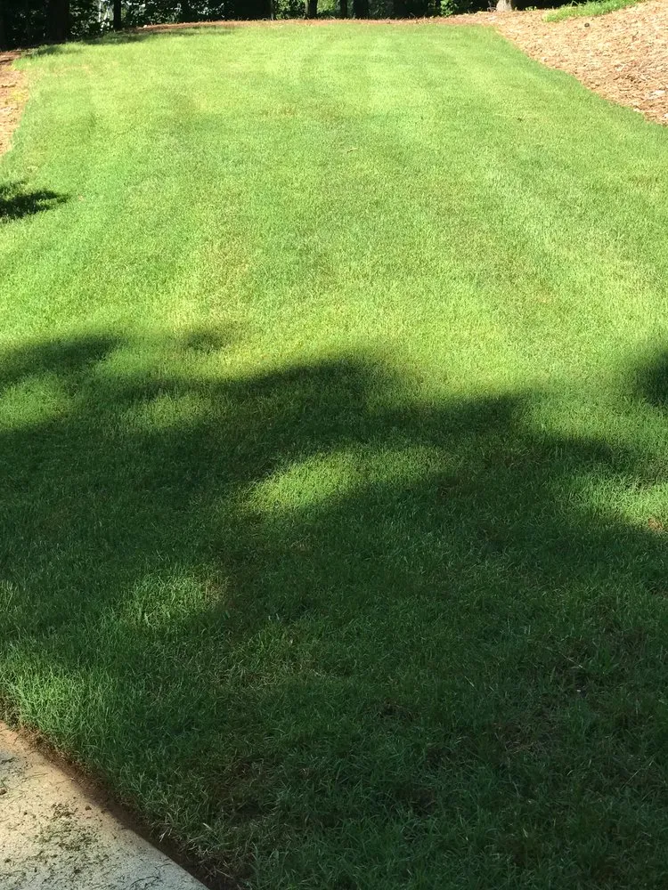 Reliable lawn care service for year-round maintenance in Seneca, SC by Allstar Lawn and Landscape Service