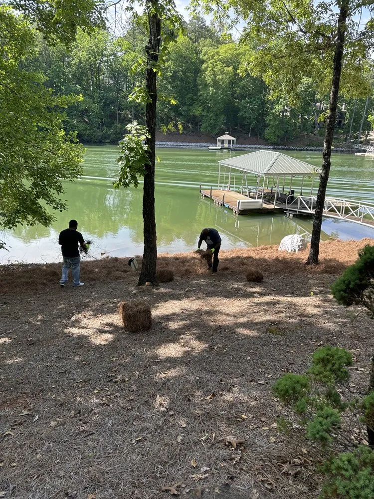 Affordable residential landscaping experts serving Seneca, SC - Allstar Lawn and Landscape Service