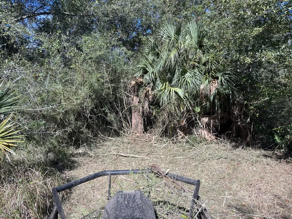 Professional residential landscaping near you across Milton, FL - Allstar Lawn and Landscaping