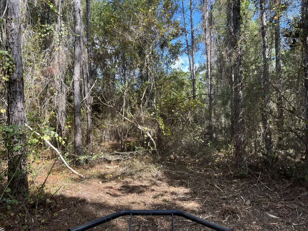 Reliable outdoor landscaping experts serving Milton, FL - Allstar Lawn and Landscaping