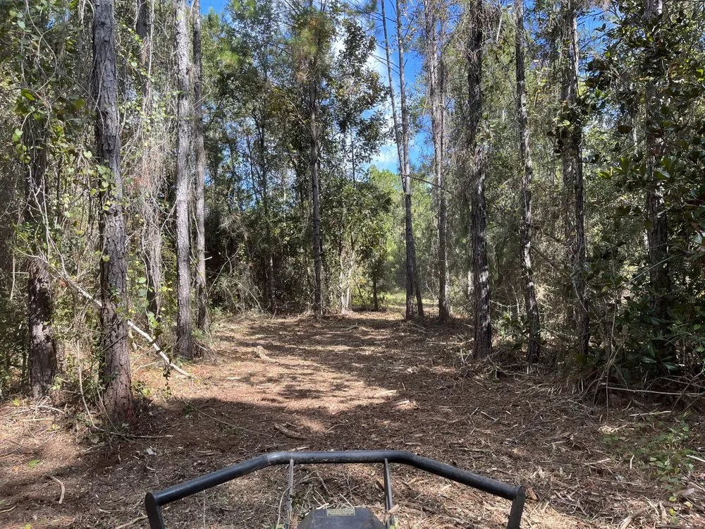 Reliable yard cleanup service in Milton, FL - Allstar Lawn and Landscaping