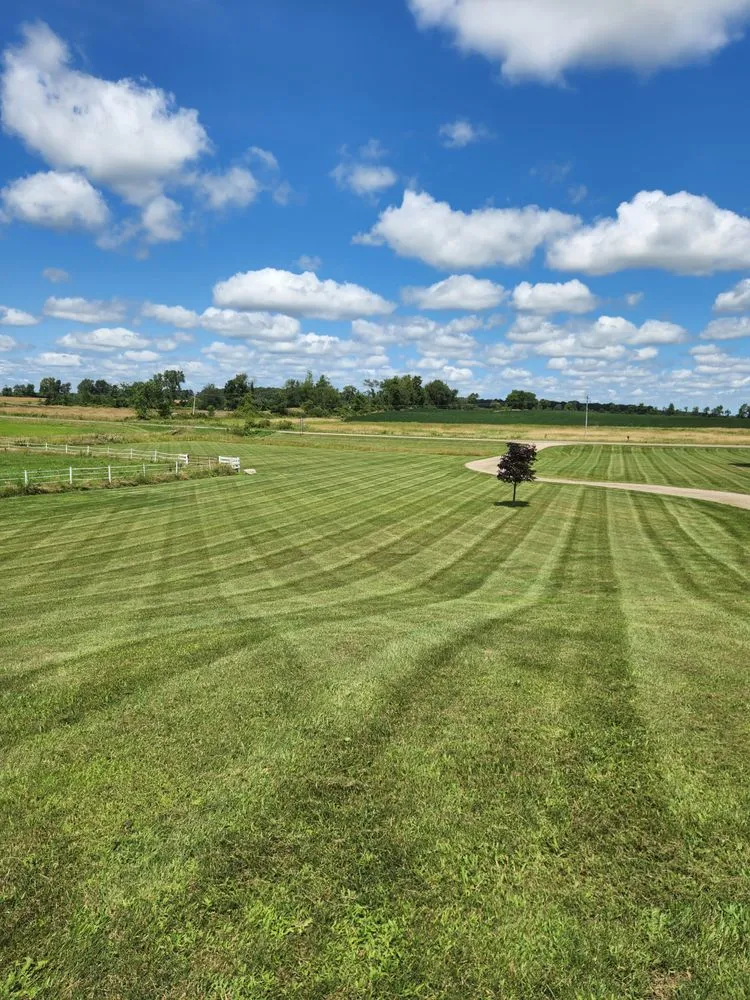 Reliable yard cleanup service experts serving Bellevue, MI - Allstar lawncare & Snow Removal