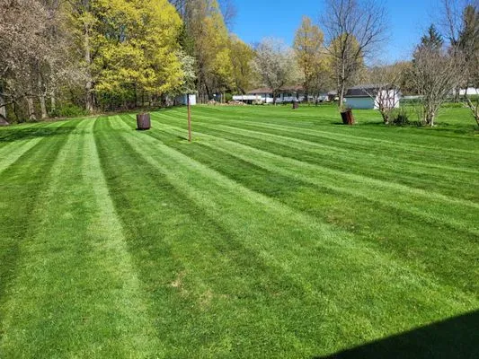 Allstar Lawncare Logo