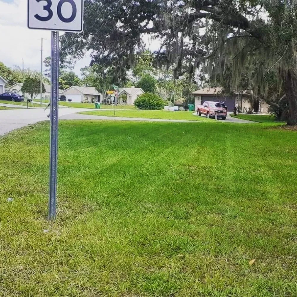 Trusted lawn care service with custom design in Deltona, FL by AllStarr Rands Landscaping
