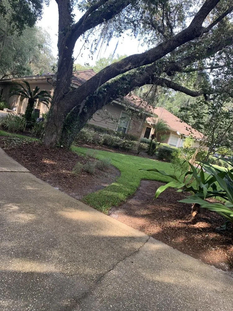 Professional landscape installation in Deltona, FL - AllStarr Rands Landscaping