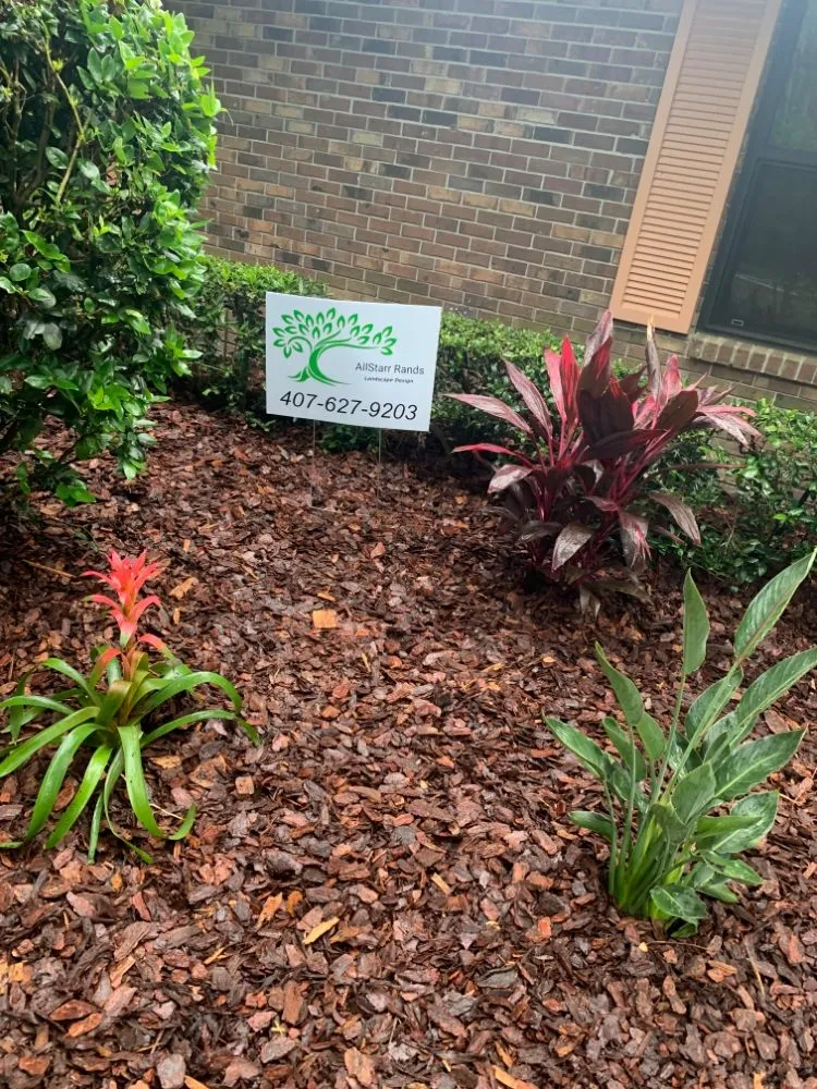 Top-rated yard maintenance in Deltona, FL - AllStarr Rands Landscaping