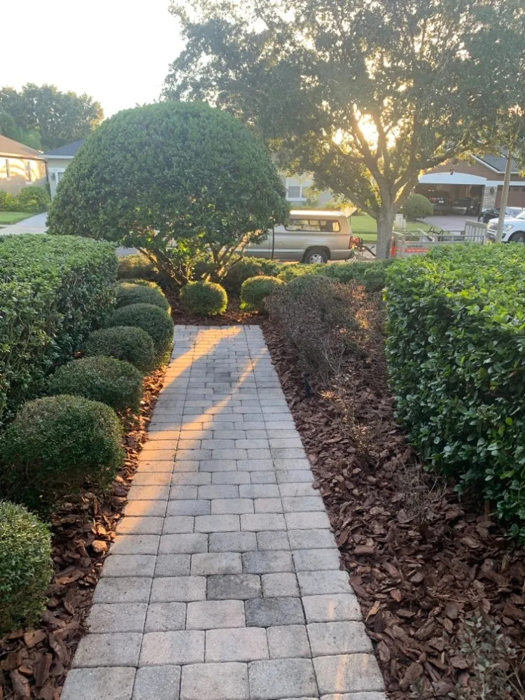 Top-rated landscaping services in Deltona, FL - AllStarr Rands Landscaping