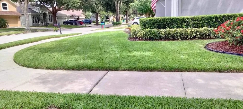 Reliable yard cleanup service experts serving Deltona, FL - AllStarr Rands Landscaping