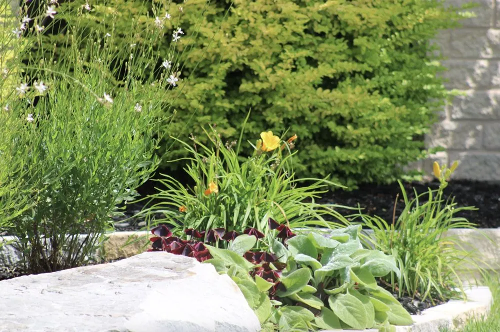 Expert landscape design in Lewisville, TX - Allstate Landscape