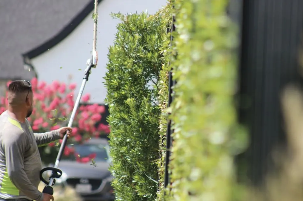 Trusted yard maintenance experts serving Lewisville, TX - Allstate Landscape