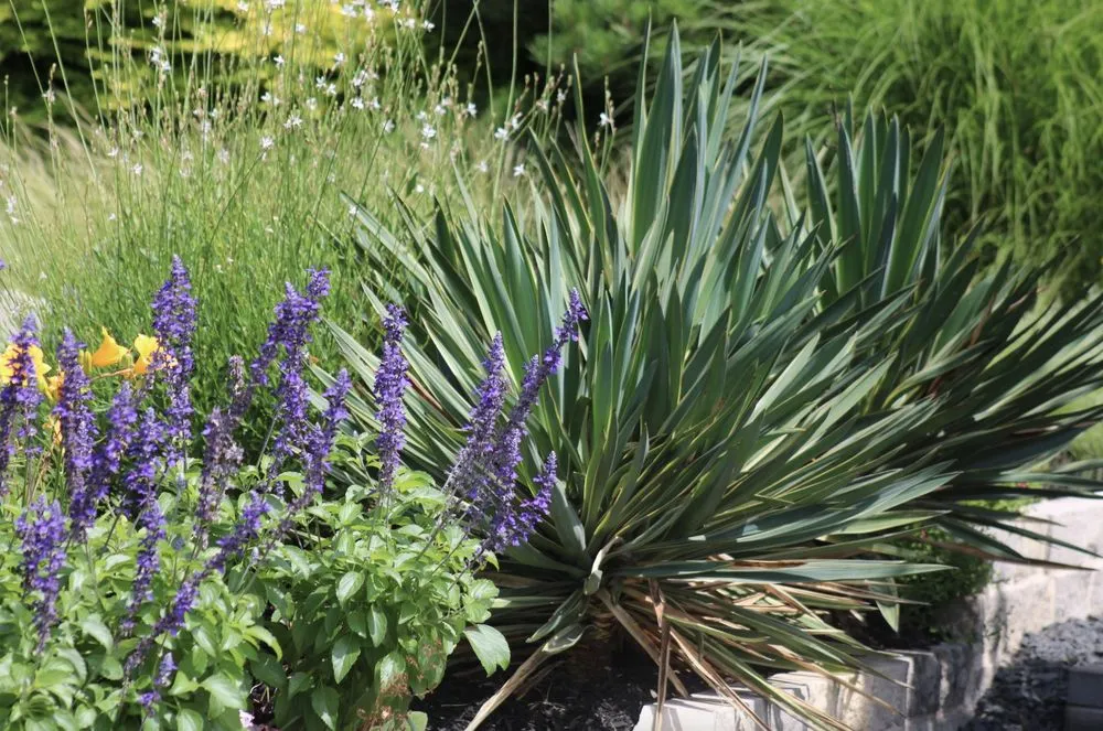 Trusted residential landscaping in Lewisville, TX by Allstate Landscape