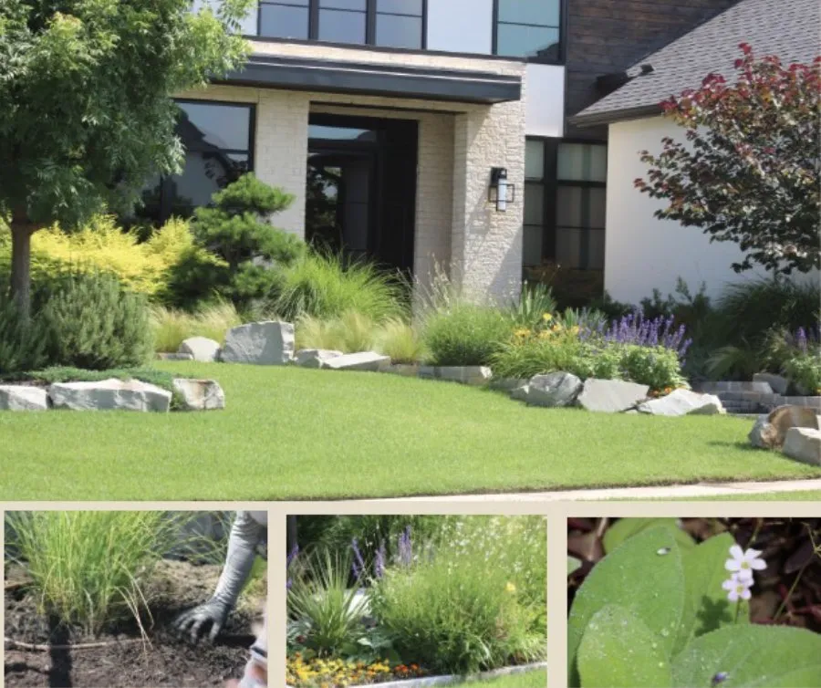 Affordable yard maintenance in Lewisville, TX by Allstate Landscape