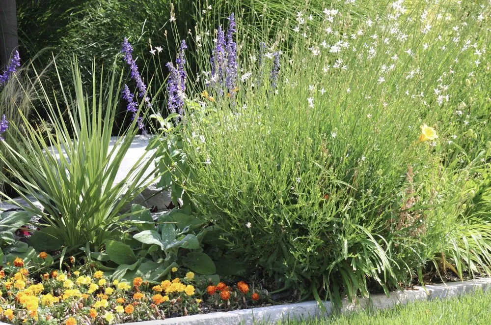 Local lawn care service for beautiful yards in Lewisville, TX by Allstate Landscape