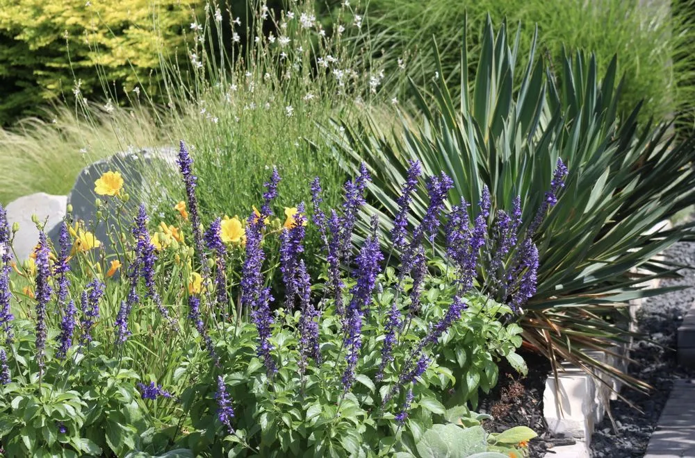 Custom landscape design near you across Lewisville, TX - Allstate Landscape