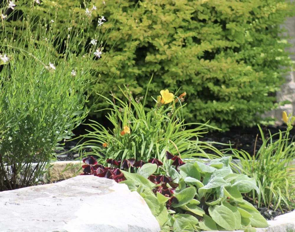 Reliable residential landscaping with custom design in Lewisville, TX by Allstate Landscape