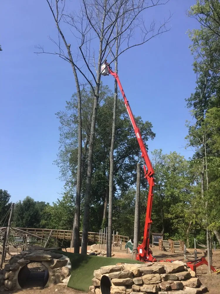 Affordable garden landscaping in Canton, GA by Allstate Tree & Landscape Group