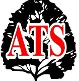 Local lawn care service for outdoor upgrades in Canton, GA by Allstate Tree & Landscape Group