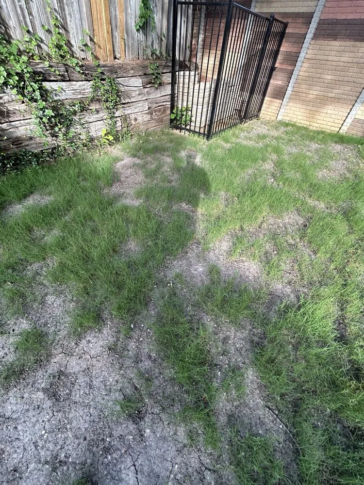 Top-rated residential landscaping in Dallas, TX by Allstrongarms Services