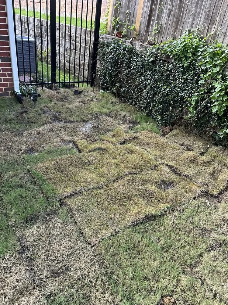 Expert landscape design experts serving Dallas, TX - Allstrongarms Services