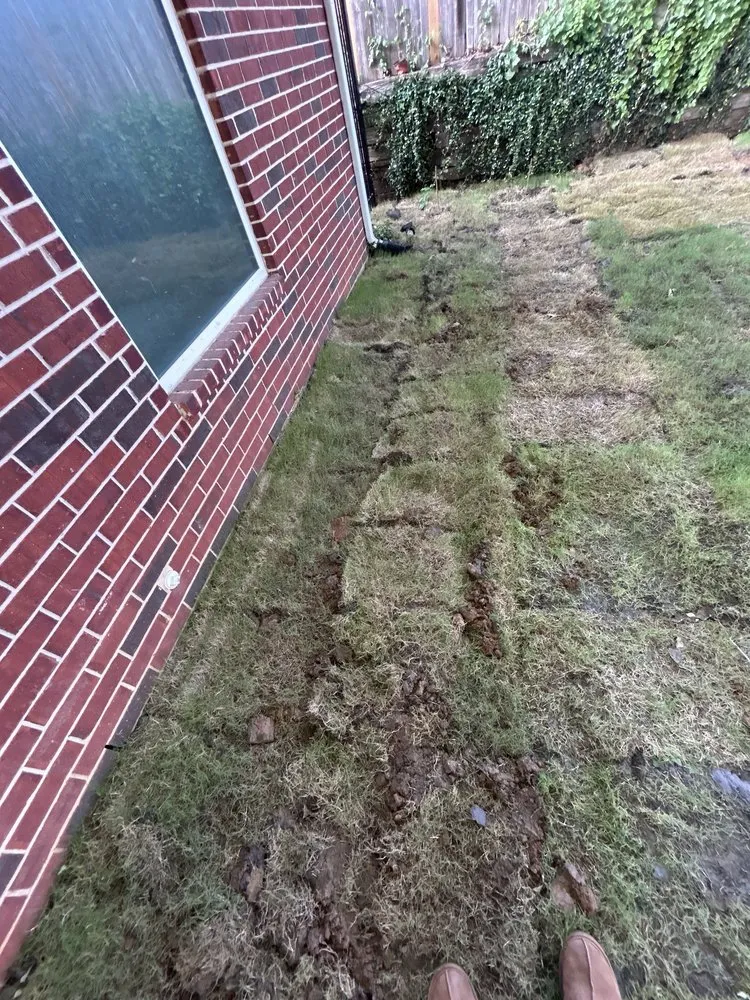 Affordable residential landscaping in Dallas, TX - Allstrongarms Services