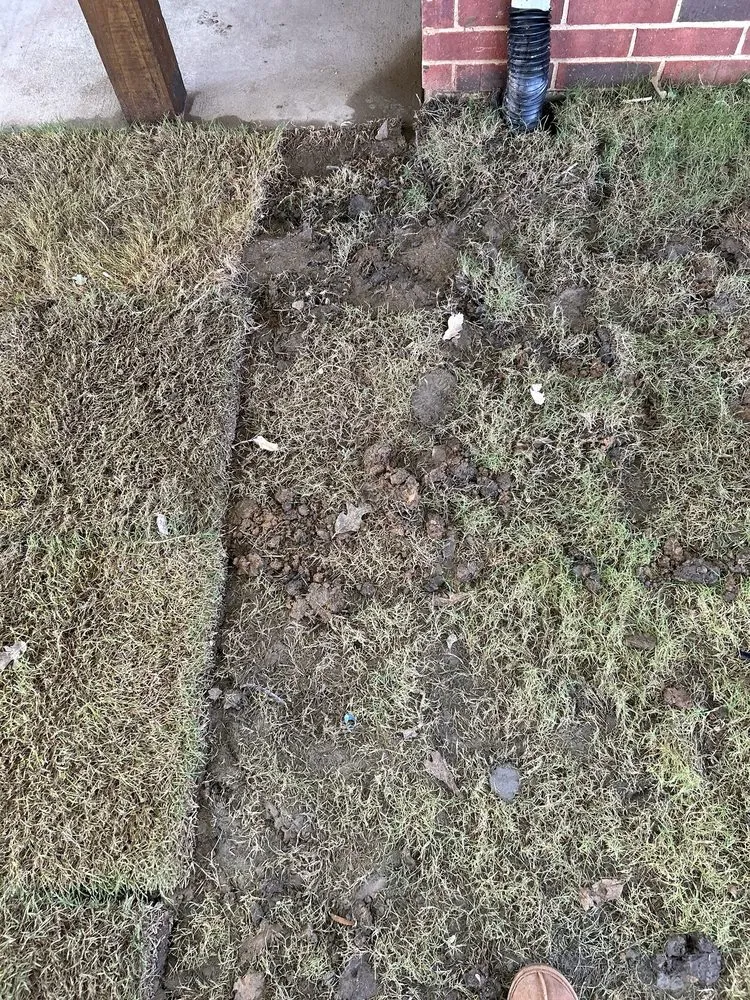 Top-rated lawn care service for outdoor upgrades across Dallas, TX - Allstrongarms Services