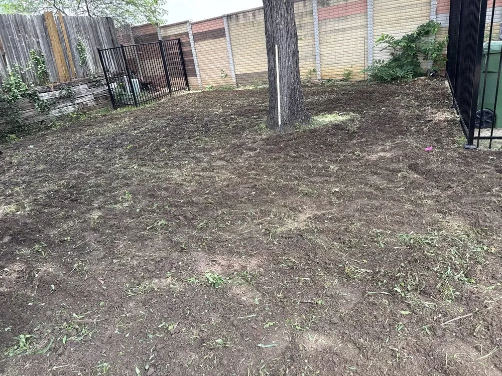 Expert lawn mowing service in Dallas, TX - Allstrongarms Services