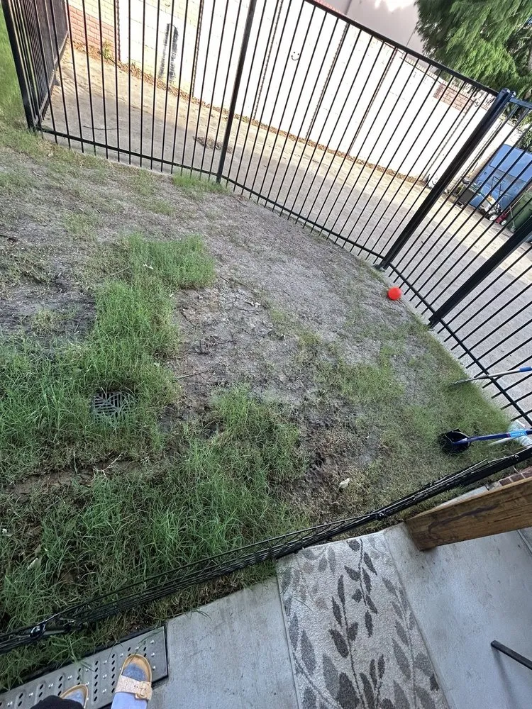 Reliable yard cleanup service in Dallas, TX by Allstrongarms Services