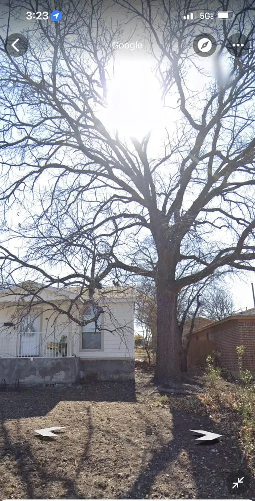 Reliable yard maintenance in Dallas, TX - Allstrongarms Services