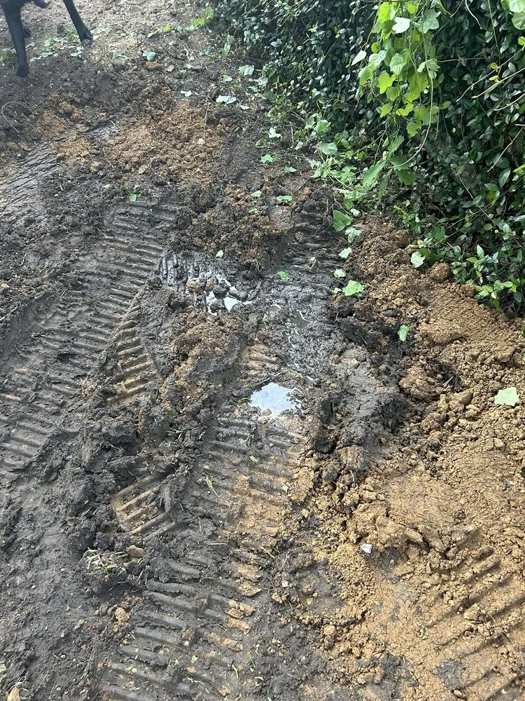 Top-rated yard cleanup service near you in Dallas, TX by Allstrongarms Services