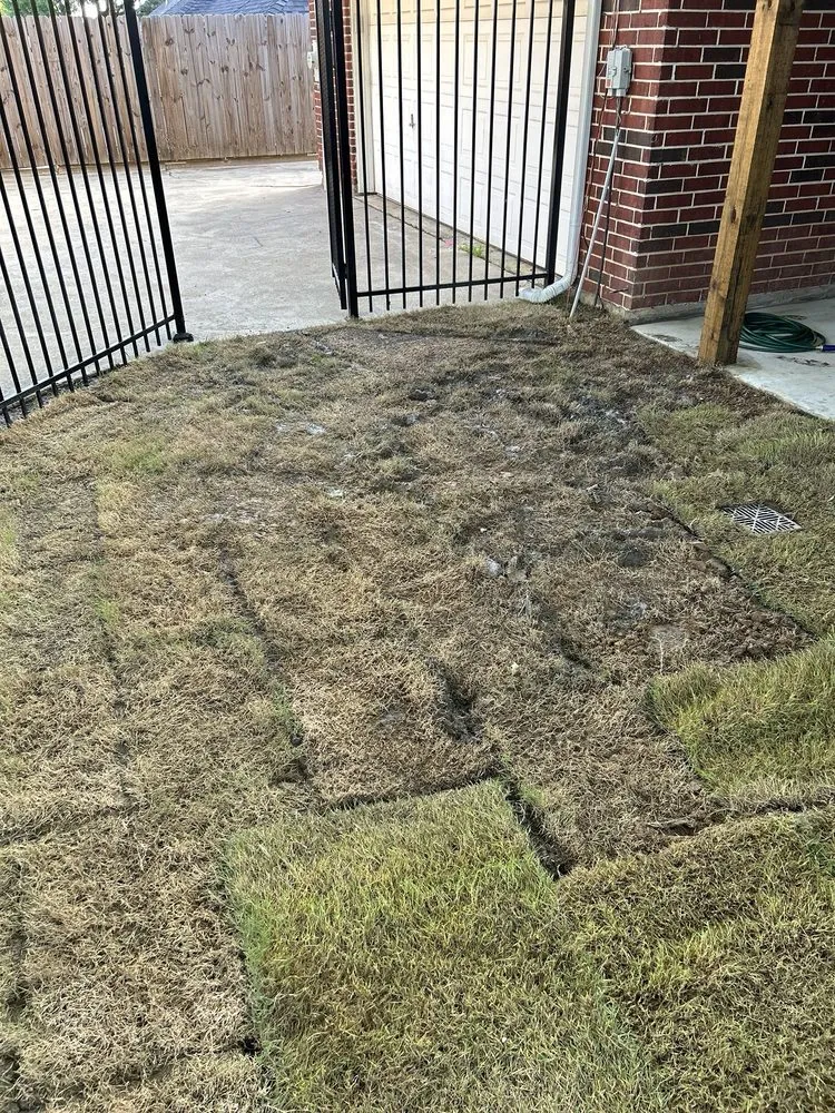 Trusted lawn care service in Dallas, TX - Allstrongarms Services
