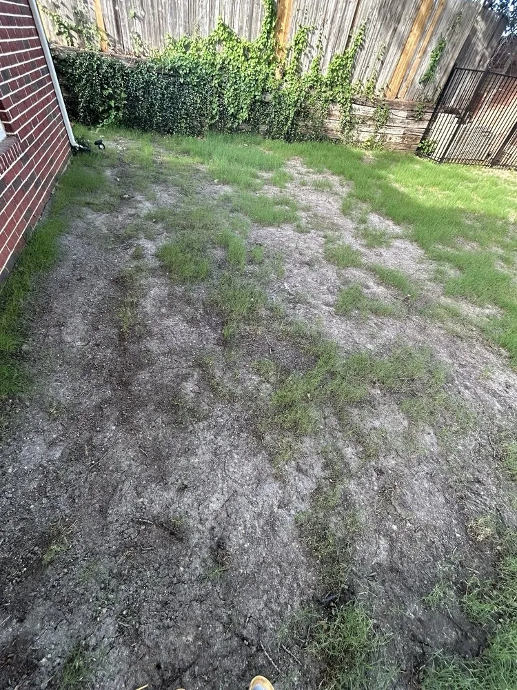 Custom landscape design near you in Dallas, TX by Allstrongarms Services