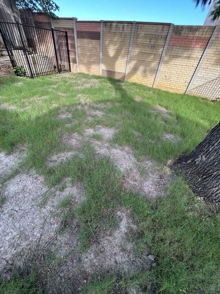 Trusted landscape installation for residential properties across Dallas, TX - Allstrongarms Services