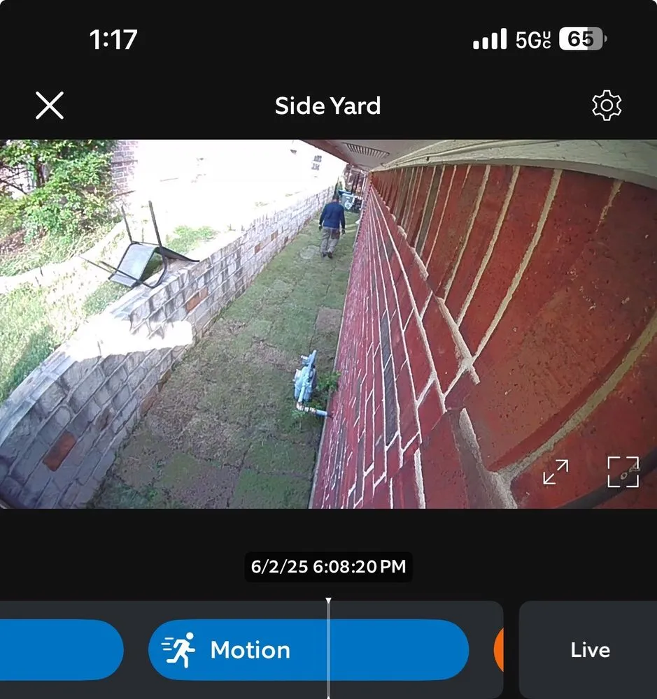 Trusted landscaping services for year-round maintenance across Dallas, TX - Allstrongarms Services