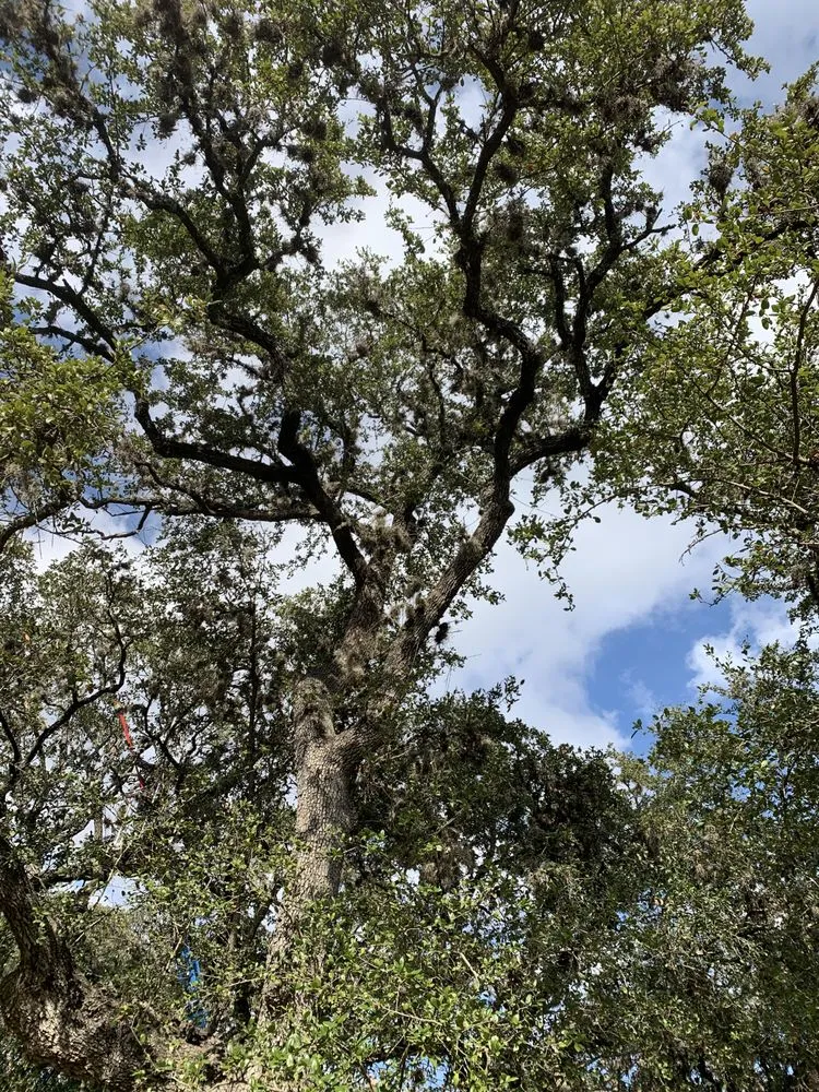 Custom residential landscaping for outdoor upgrades in Castroville, TX by Allsups Landscaping