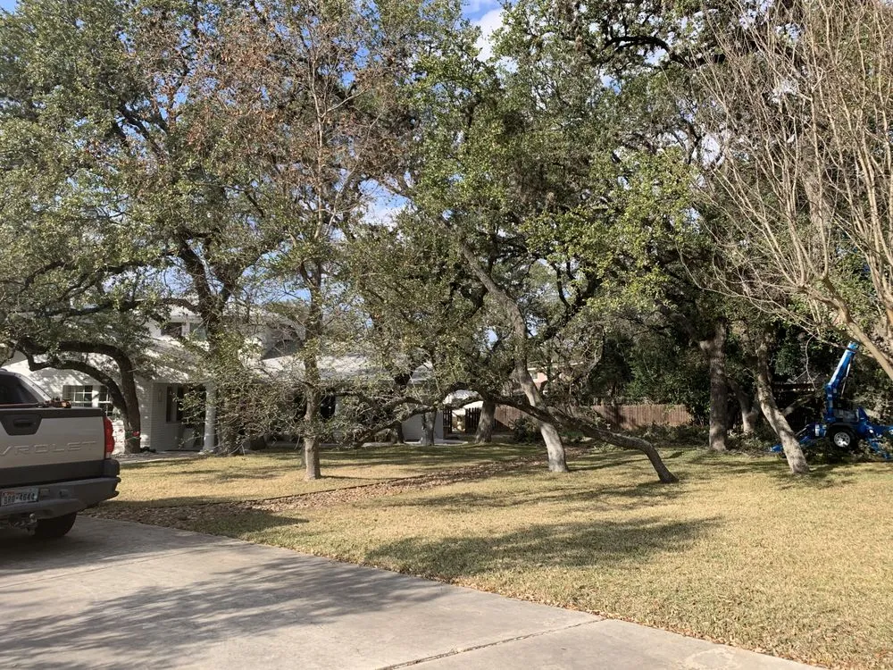 Custom residential landscaping in Castroville, TX by Allsups Landscaping