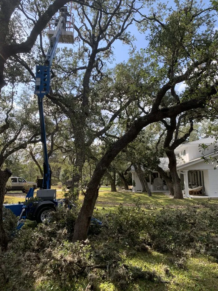 Reliable garden landscaping near you in Castroville, TX by Allsups Landscaping