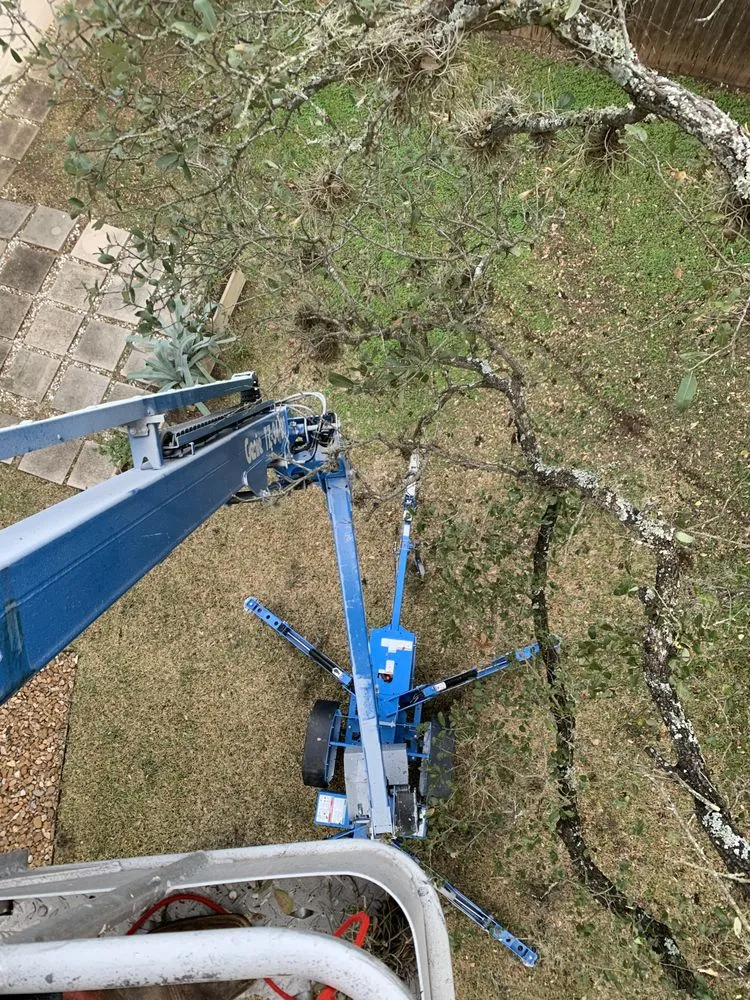 Top-rated landscaping services experts serving Castroville, TX - Allsups Landscaping