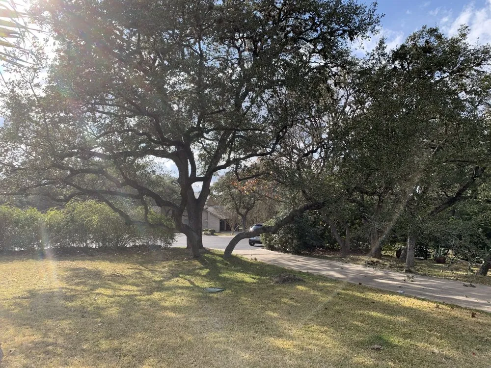 Custom residential landscaping experts serving Castroville, TX - Allsups Landscaping