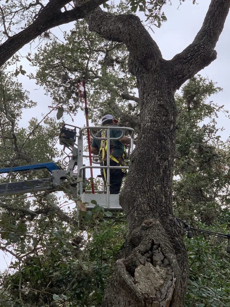 Reliable landscape installation near you in Castroville, TX by Allsups Landscaping