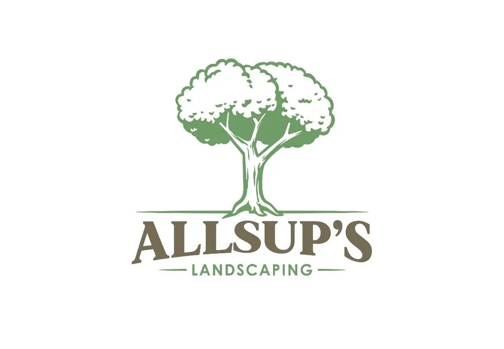 Professional yard cleanup service with custom design in Castroville, TX by Allsups Landscaping
