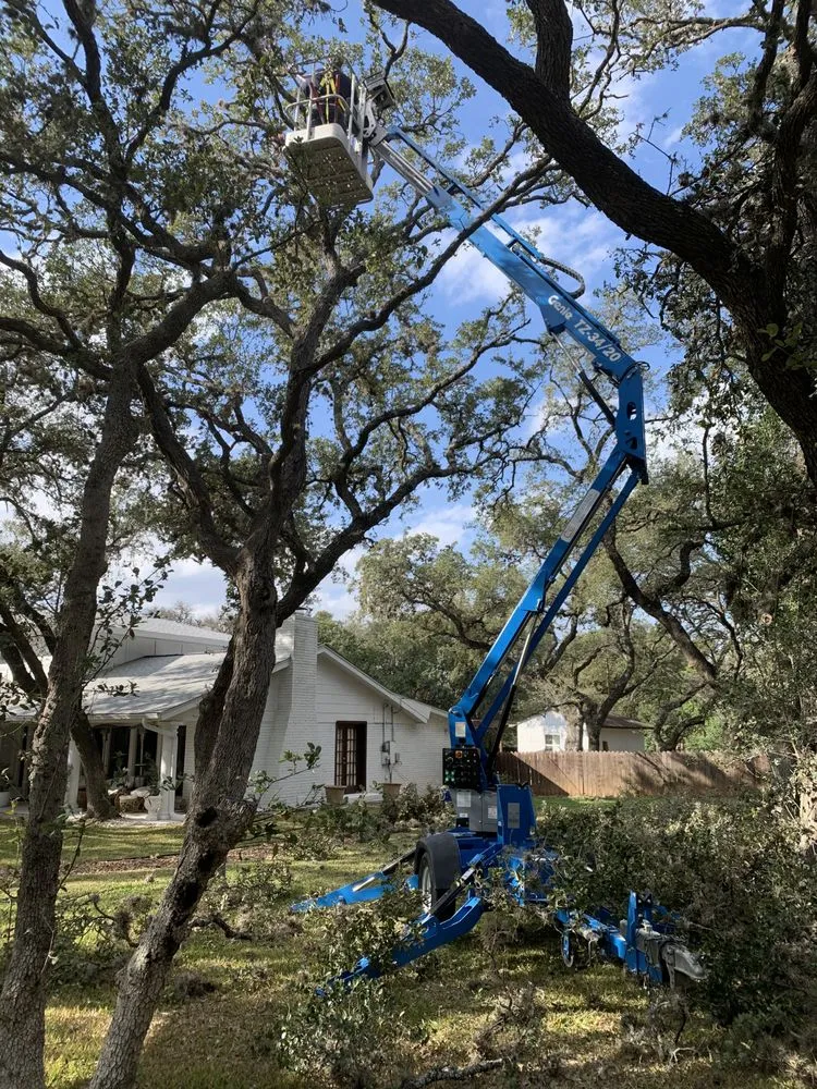 Top-rated outdoor landscaping in Castroville, TX by Allsups Landscaping