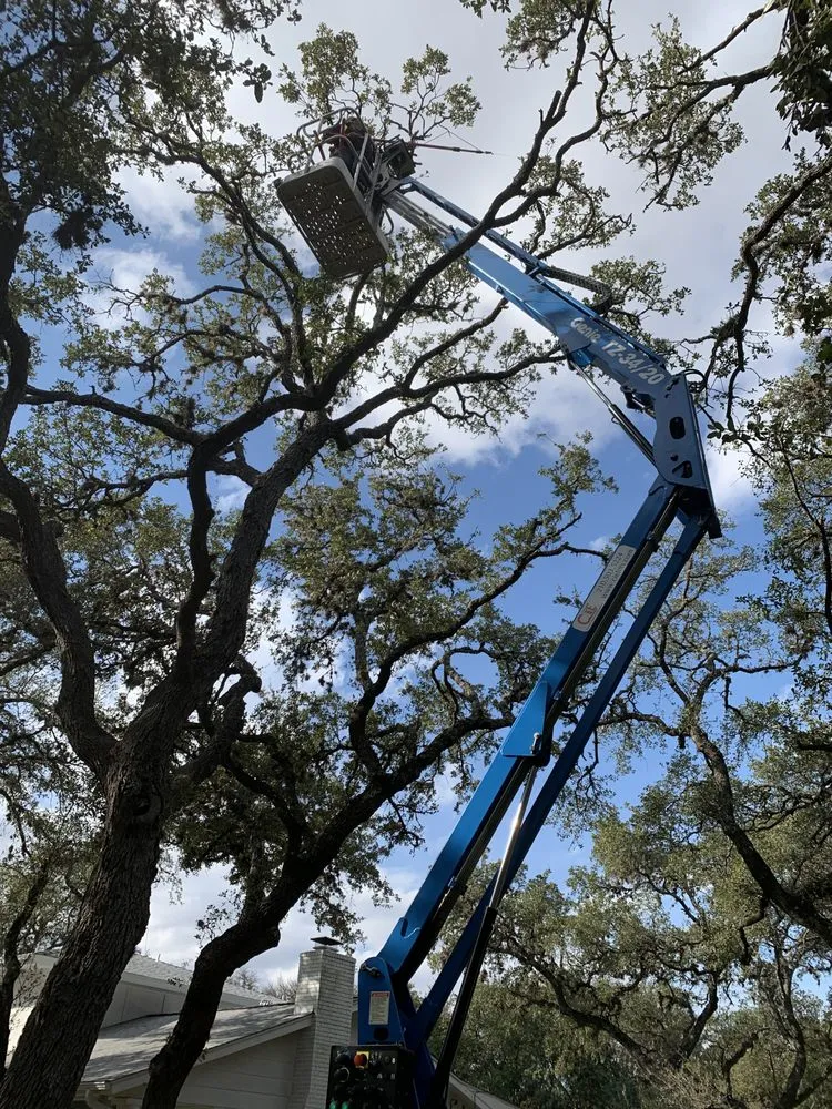 Custom outdoor landscaping experts serving Castroville, TX - Allsups Landscaping