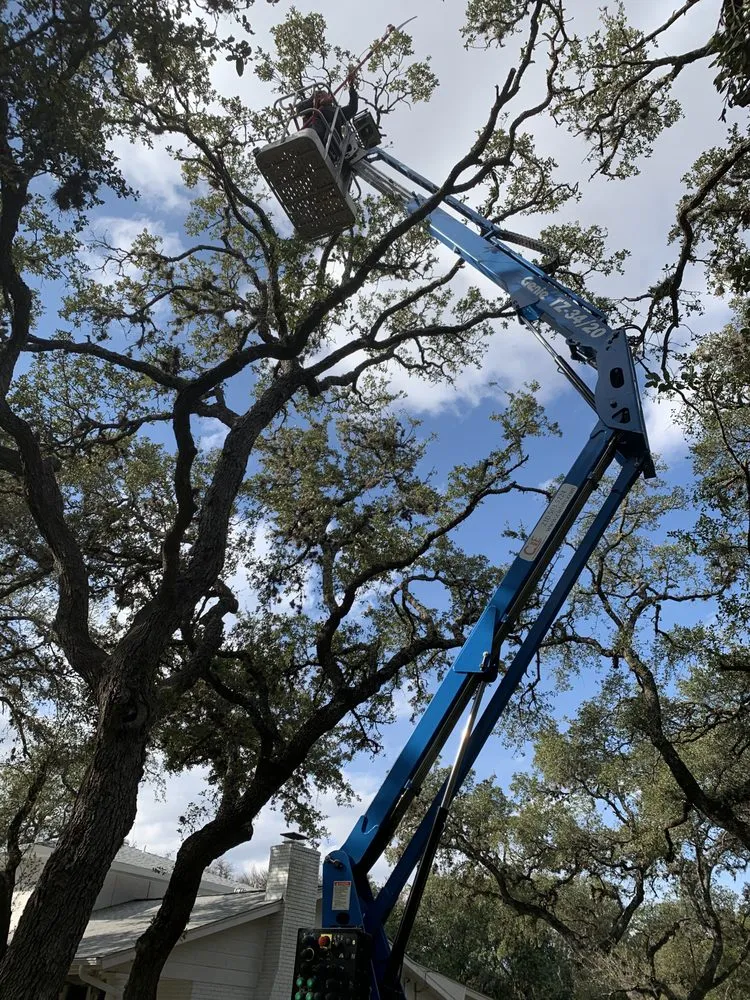 Custom garden landscaping experts serving Castroville, TX - Allsups Landscaping