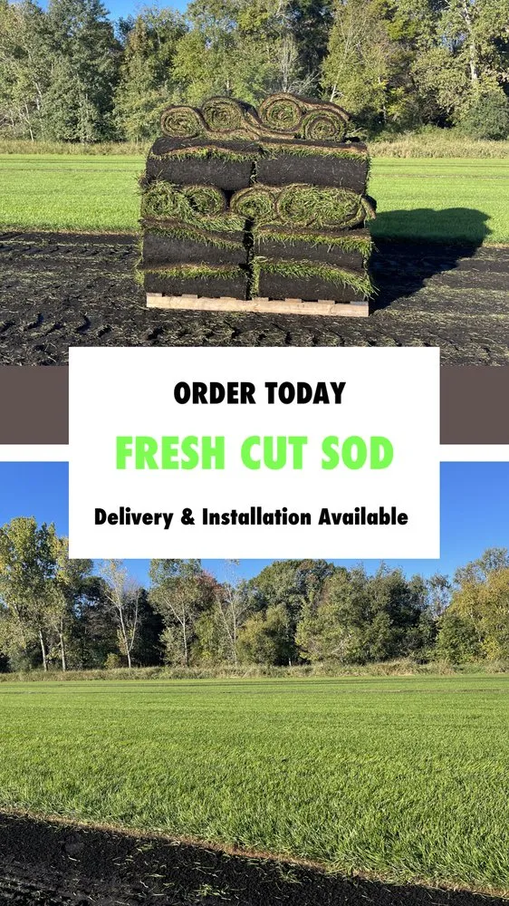 Trusted lawn mowing service experts serving Andover, MN - Alltek Turf