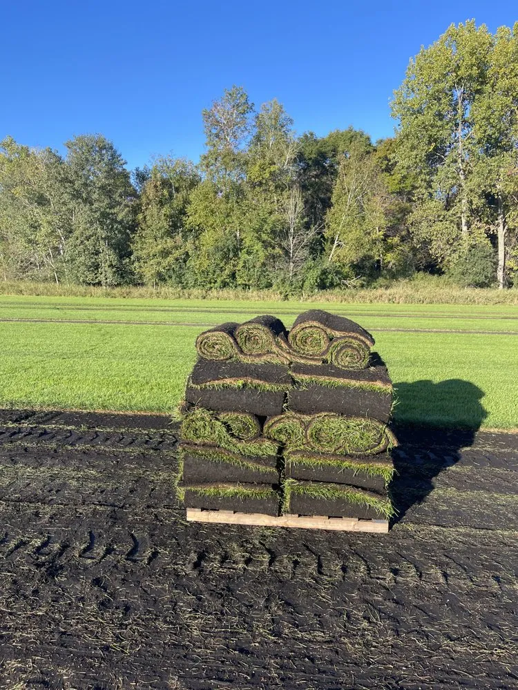 Trusted lawn mowing service in Andover, MN - Alltek Turf