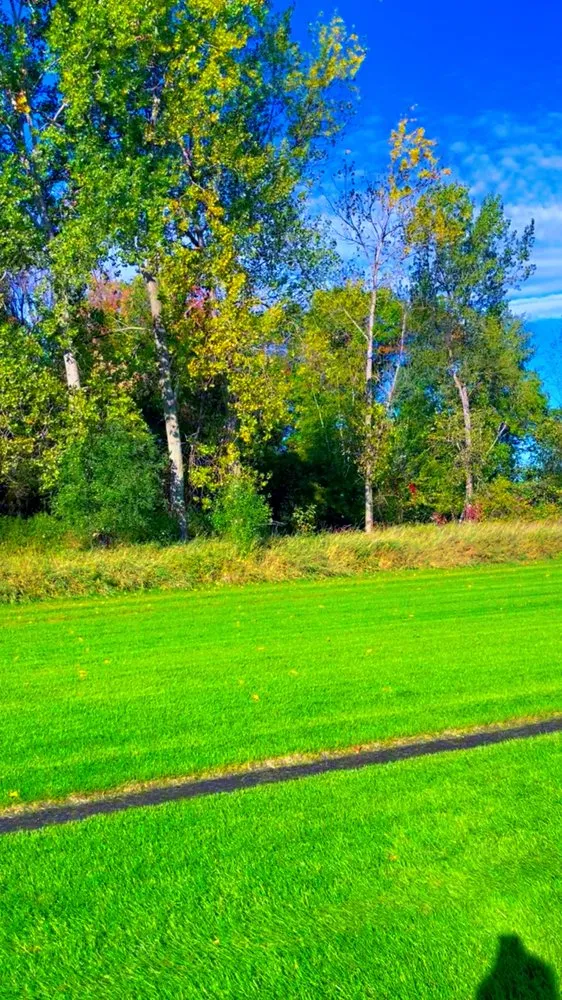 Custom yard cleanup service for beautiful yards in Andover, MN by Alltek Turf